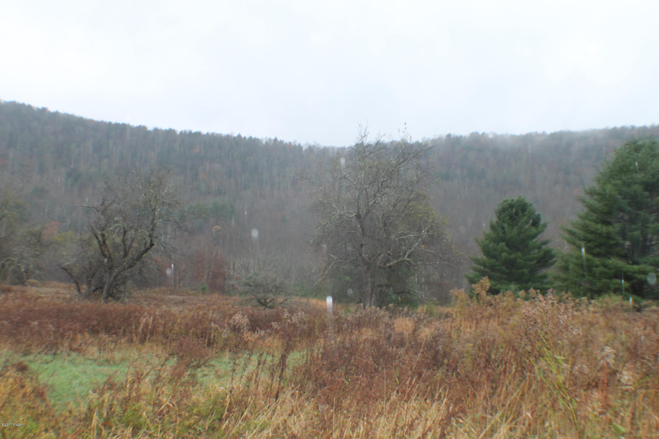 Rd Road East Branch, NY 13756 - Photo 1 of 12