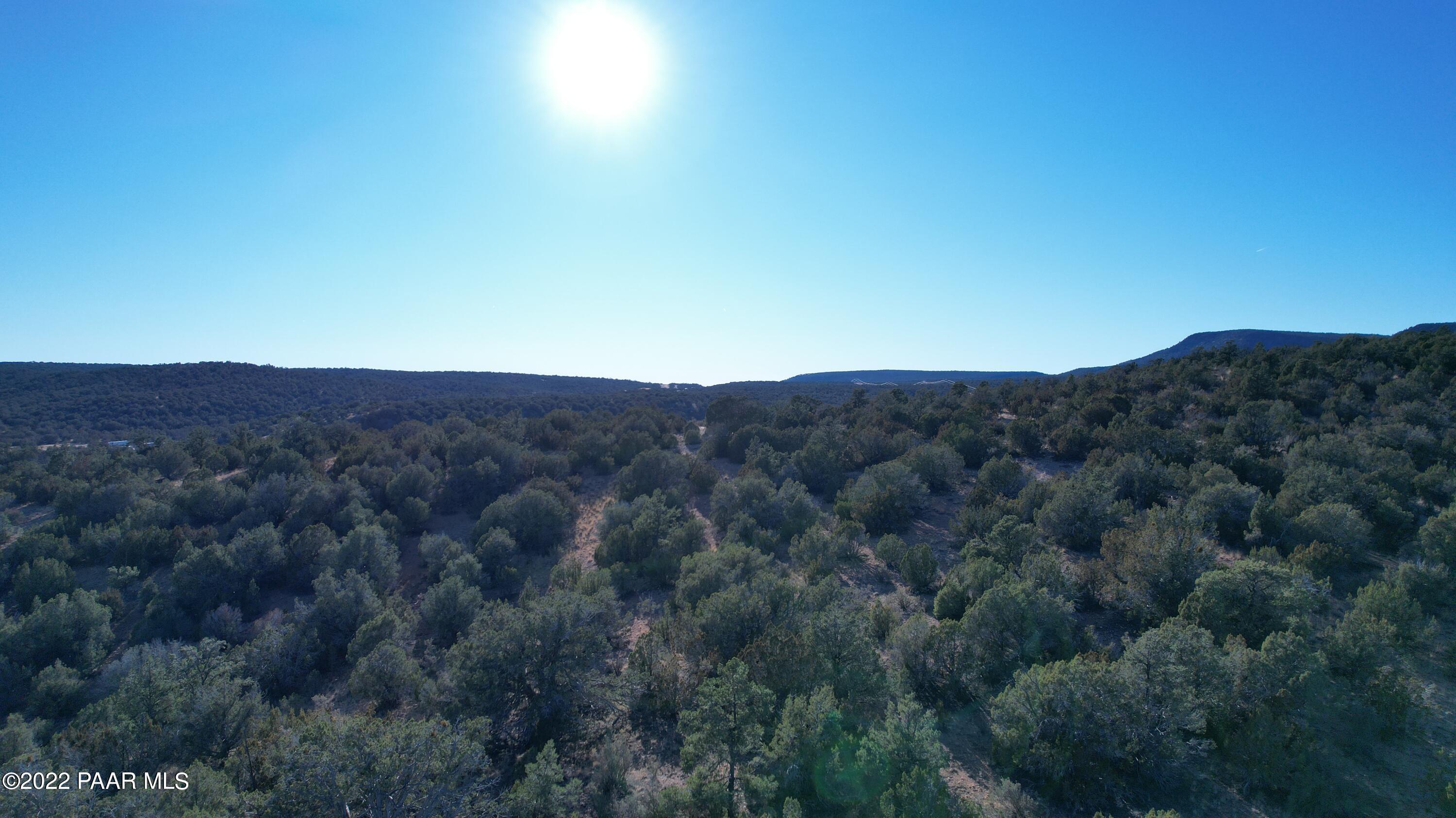 51874 Corofro Road Seligman, AZ 86337 - Photo 6 of 13 a view of a big yard