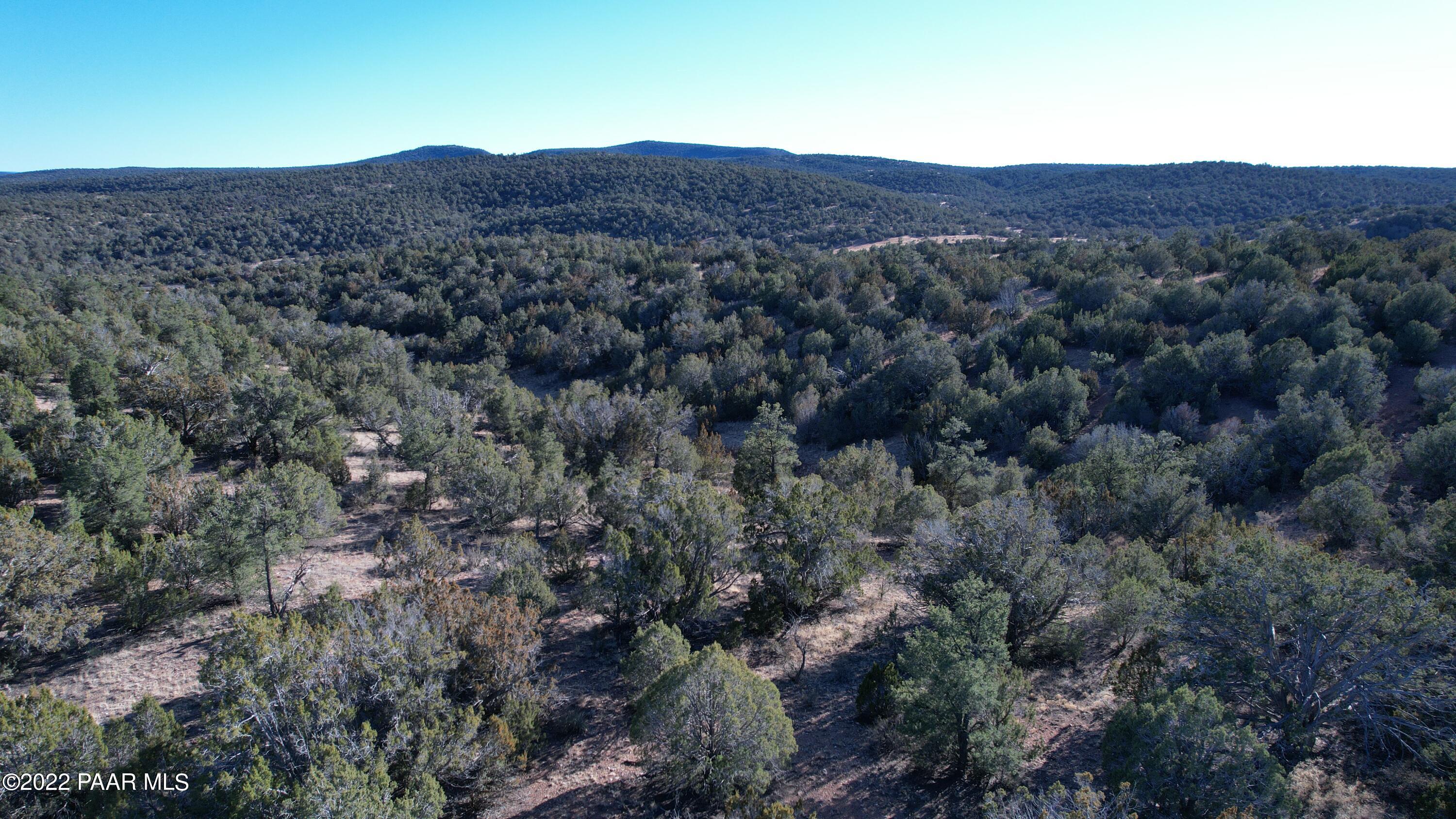 51874 Corofro Road Seligman, AZ 86337 - Photo 7 of 13