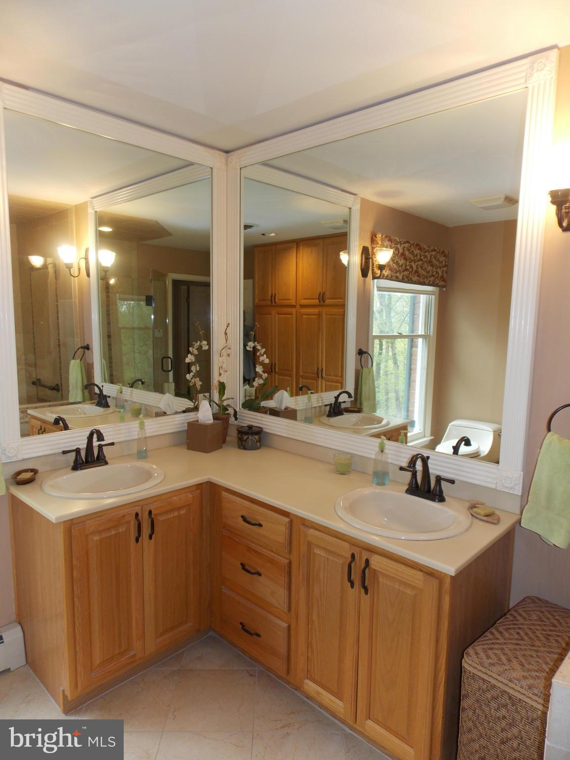 11413 Sword Road Williamsport, MD 21795 - Photo 23 of 30 Bath (Master)
