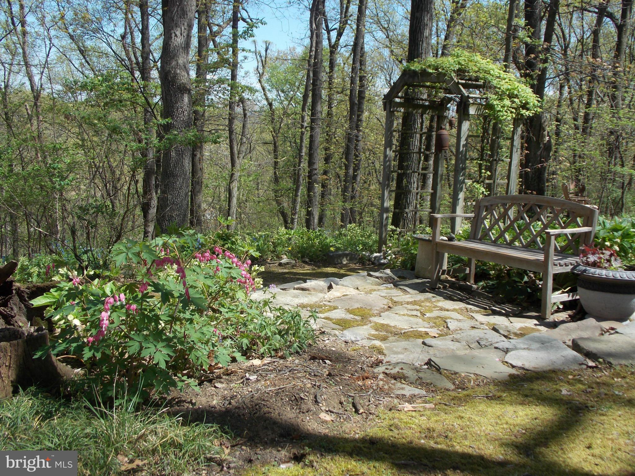 11413 Sword Road Williamsport, MD 21795 - Photo 5 of 30 View