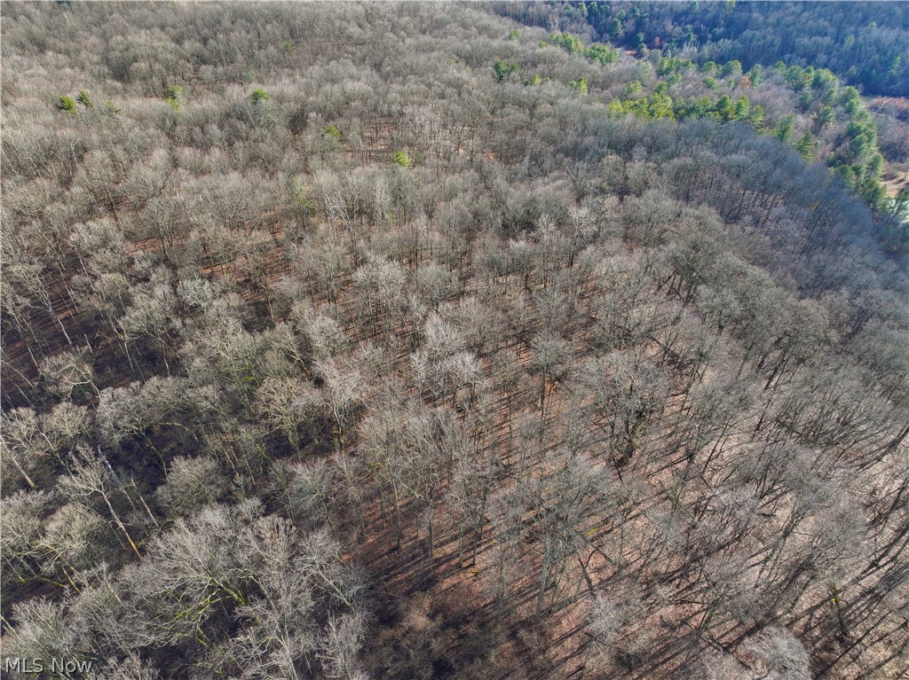 0 Tract 10 Kuhn Road Lewisville, OH 43754 - Photo 22 of 27
