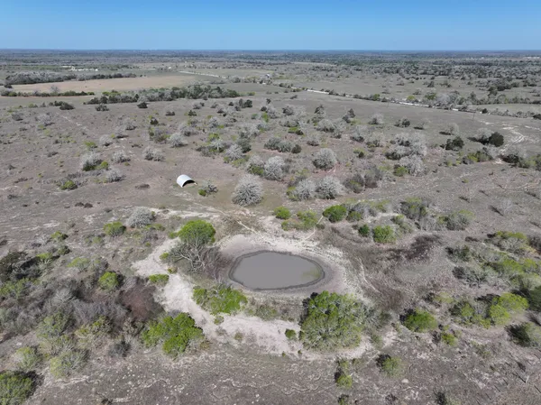 a view of a dry yard with trees in the background