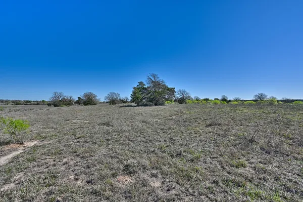 a view of a field with trees in the background