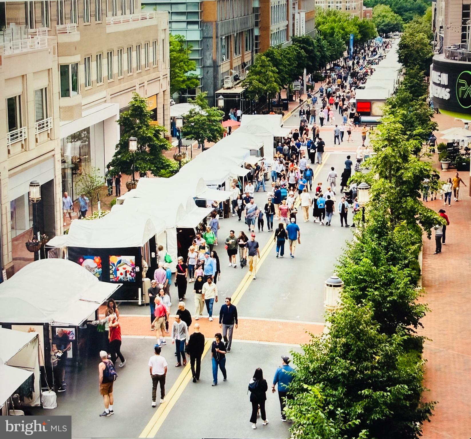 12001 Market Street, Unit 124 Reston, VA 20190 - Photo 38 of 42 Yearly Art Festival @ RTC