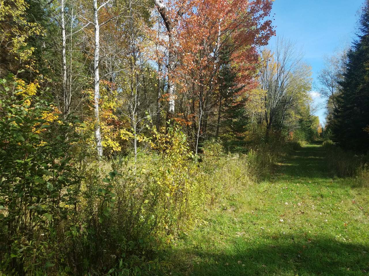 On Trappers Road Phillips, WI 54555 - Photo 2 of 5 Gallery Image 2