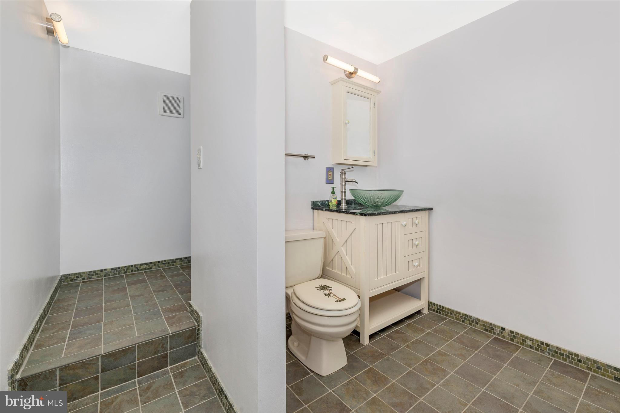 13942 Prospect Road Mount Airy, MD 21771 - Photo 37 of 69 Lower level full bath with walk-in shower!
