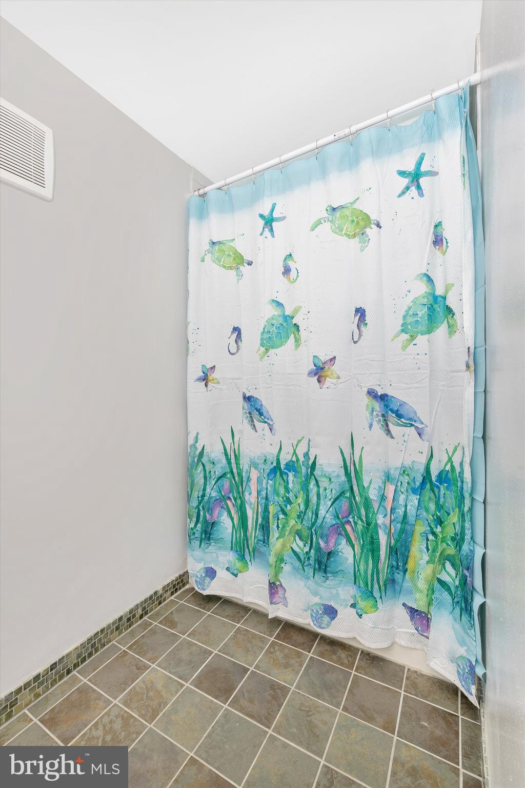 13942 Prospect Road Mount Airy, MD 21771 - Photo 38 of 69 Lower level bathroom walk-in shower