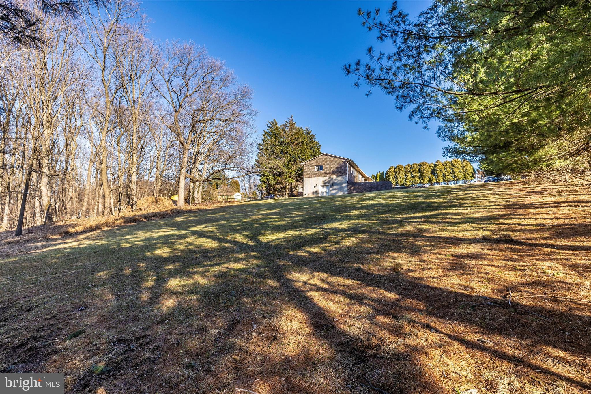 13942 Prospect Road Mount Airy, MD 21771 - Photo 45 of 69 Lots of room to enjoy outside