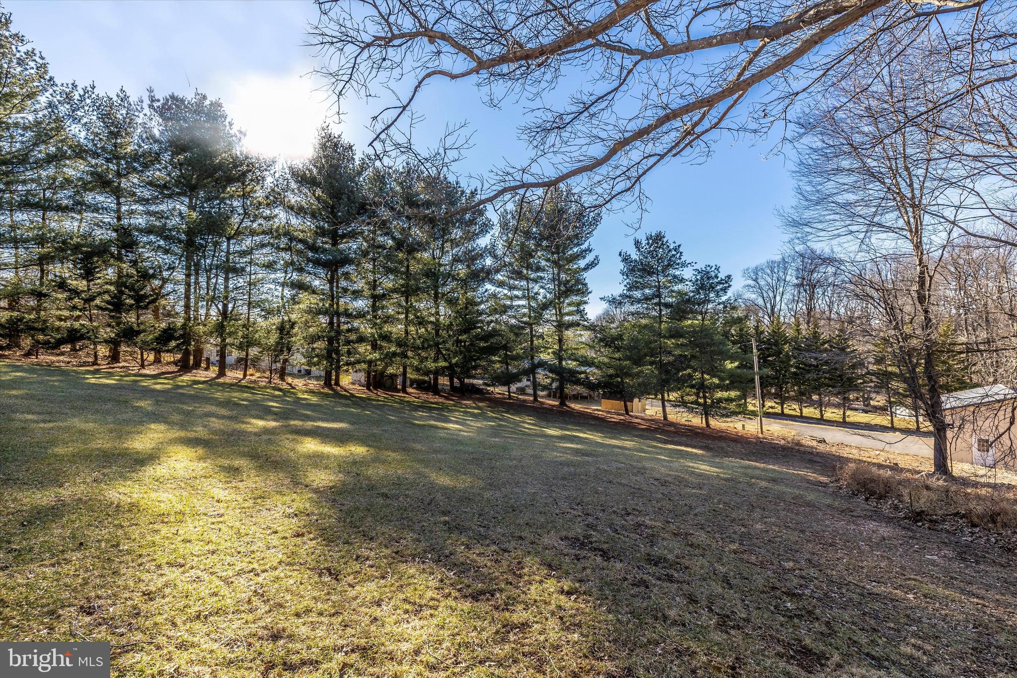 13942 Prospect Road Mount Airy, MD 21771 - Photo 47 of 69 Privacy trees