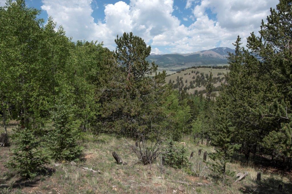 322 Reinecker Ridge Road Fairplay, CO 80440 - Photo 9 of 25 Gallery Image 9