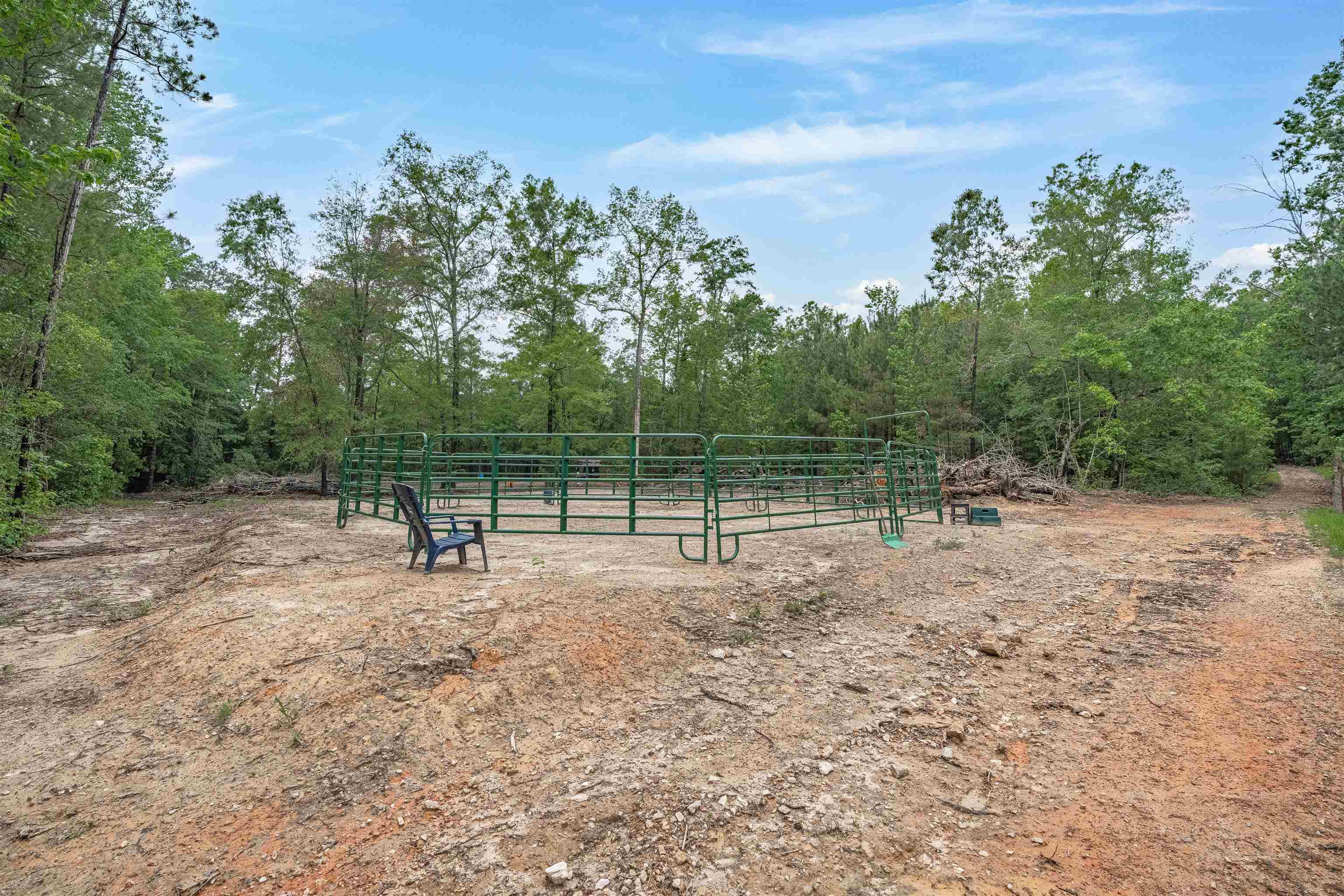 565 Portia Road Blythewood, SC 29016 - Photo 51 of 70