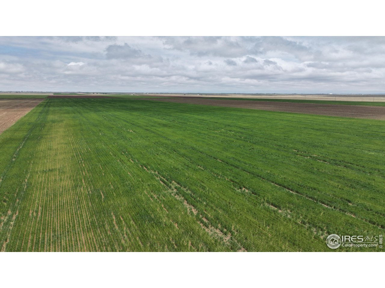 136 County Road Grover, CO 80729 - Photo 14 of 23 a black and white photo of a field