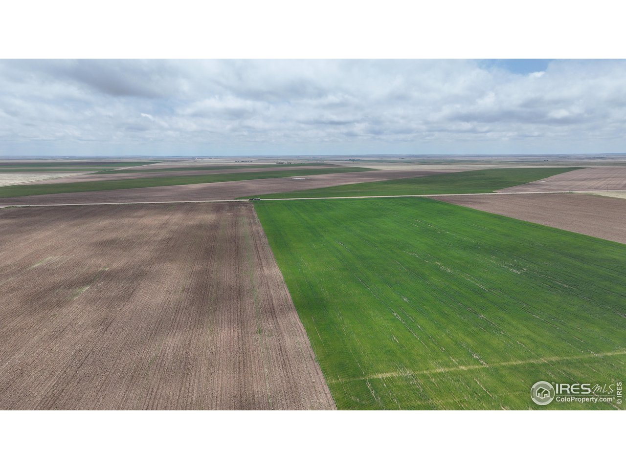 136 County Road Grover, CO 80729 - Photo 15 of 23 a black and white photo of a green field