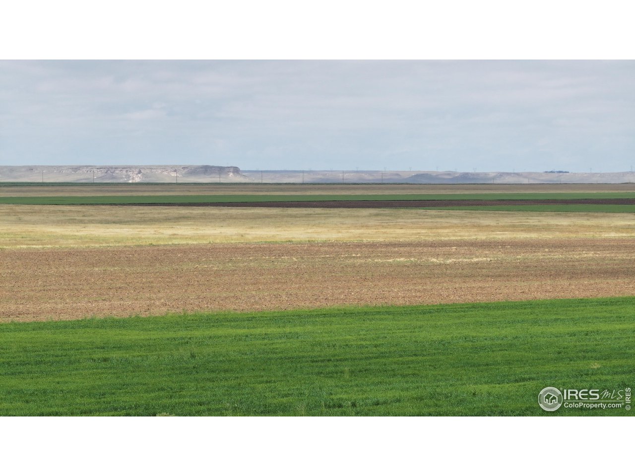 136 County Road Grover, CO 80729 - Photo 16 of 23 a open hall with a yard