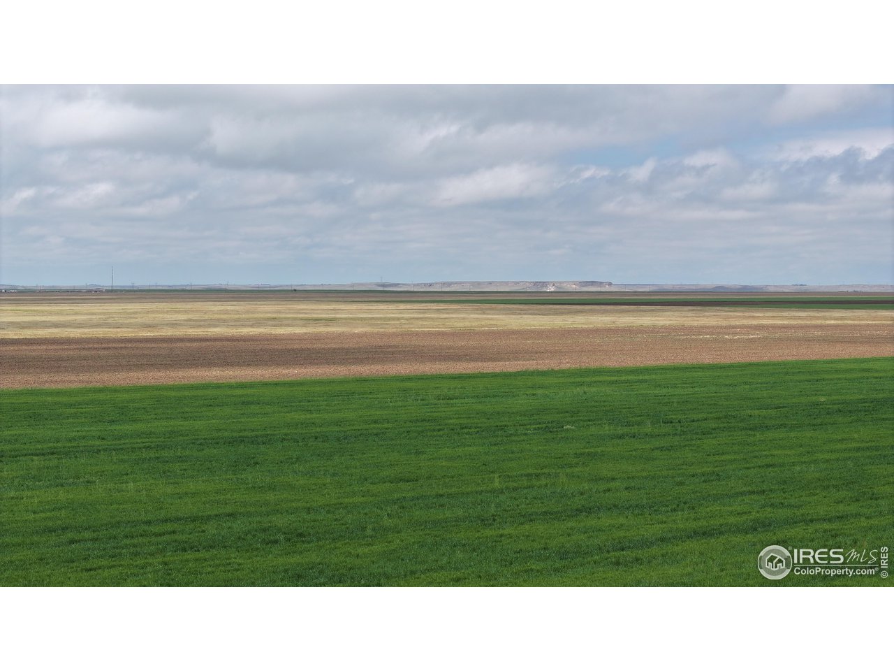 136 County Road Grover, CO 80729 - Photo 17 of 23 a black and white photo of a park