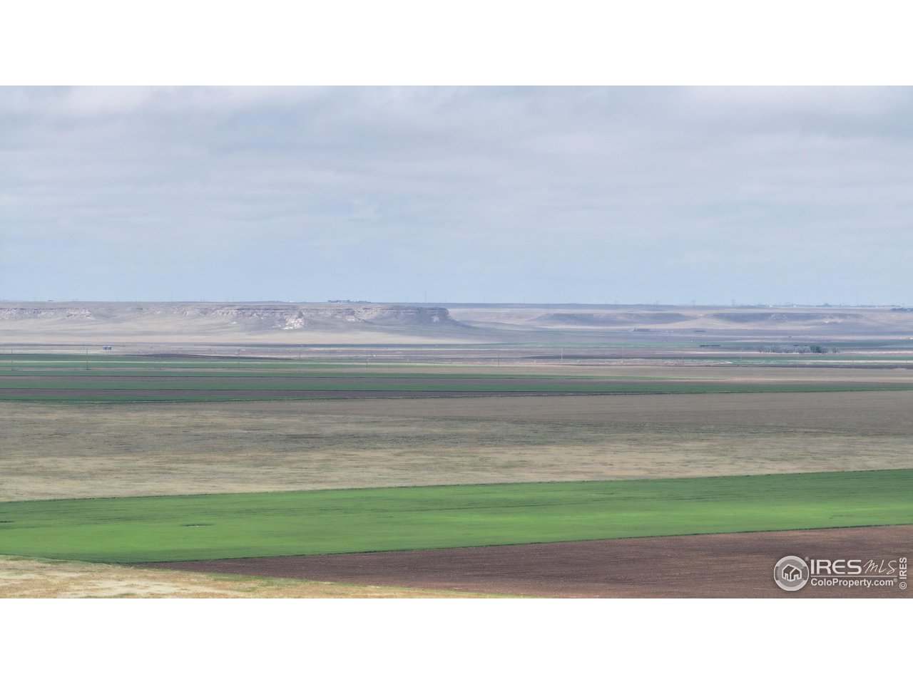136 County Road Grover, CO 80729 - Photo 19 of 23 a black and white photo of a black and white wall