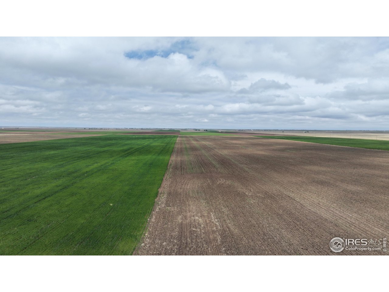 136 County Road Grover, CO 80729 - Photo 3 of 23 a black and white photo of a big yard