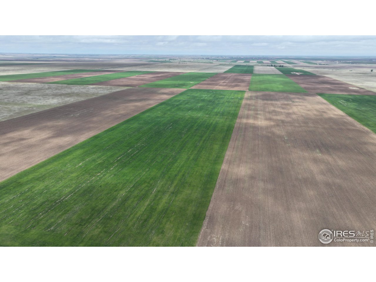 136 County Road Grover, CO 80729 - Photo 7 of 23 a black and white photo of a park