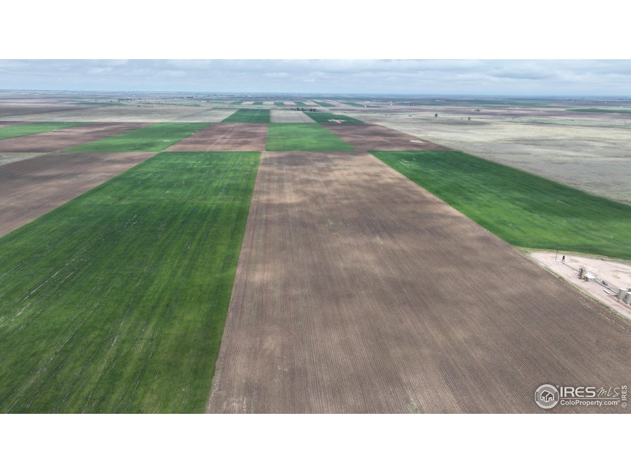 136 County Road Grover, CO 80729 - Photo 8 of 23 a black and white photo of a big yard