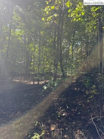 $19,000 | 166 Wild Iris Lane, Beech Mountain, NC 28604