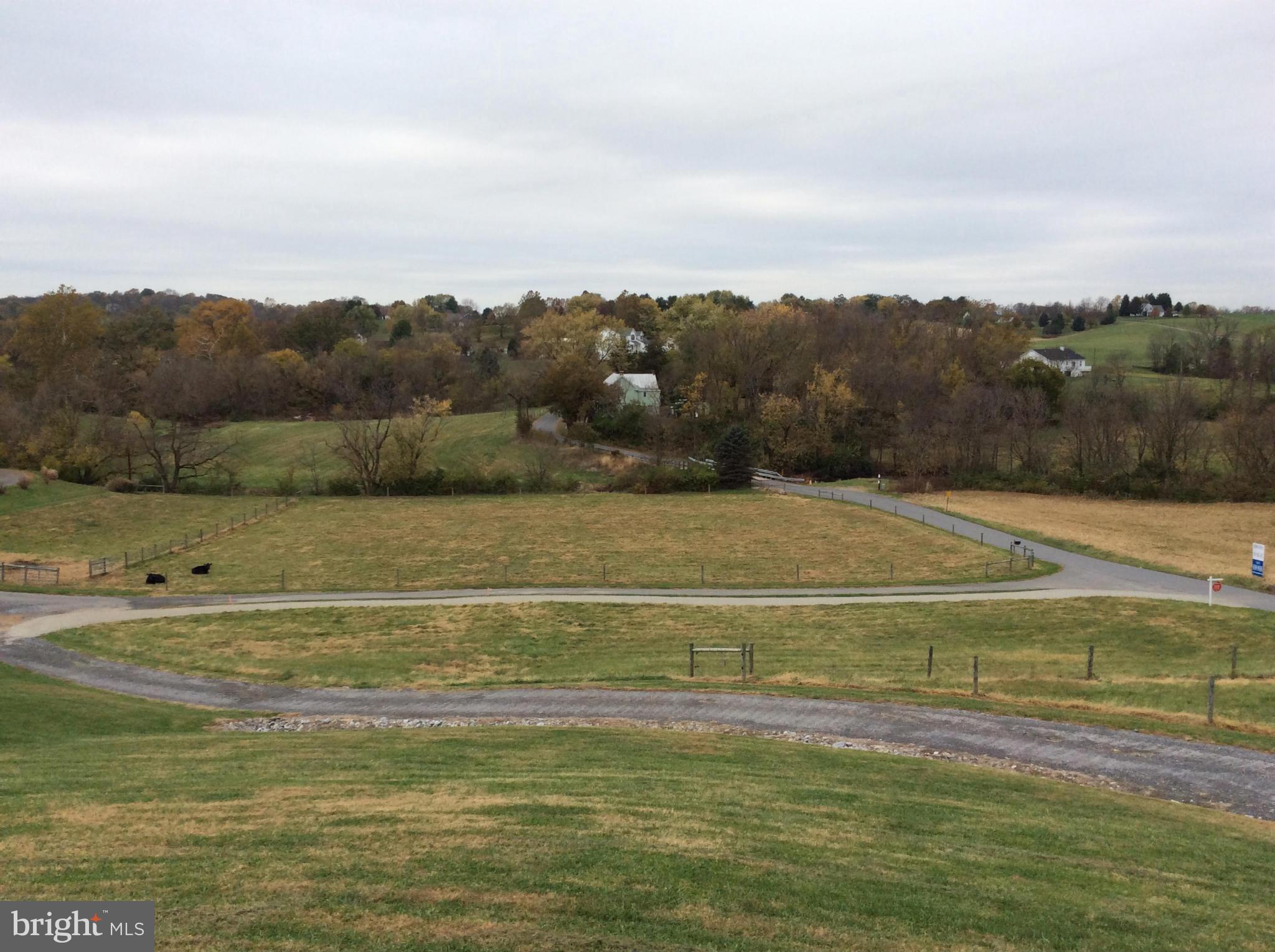 19935 Toms Road Boonsboro, MD 21713 - Photo 6 of 24 View