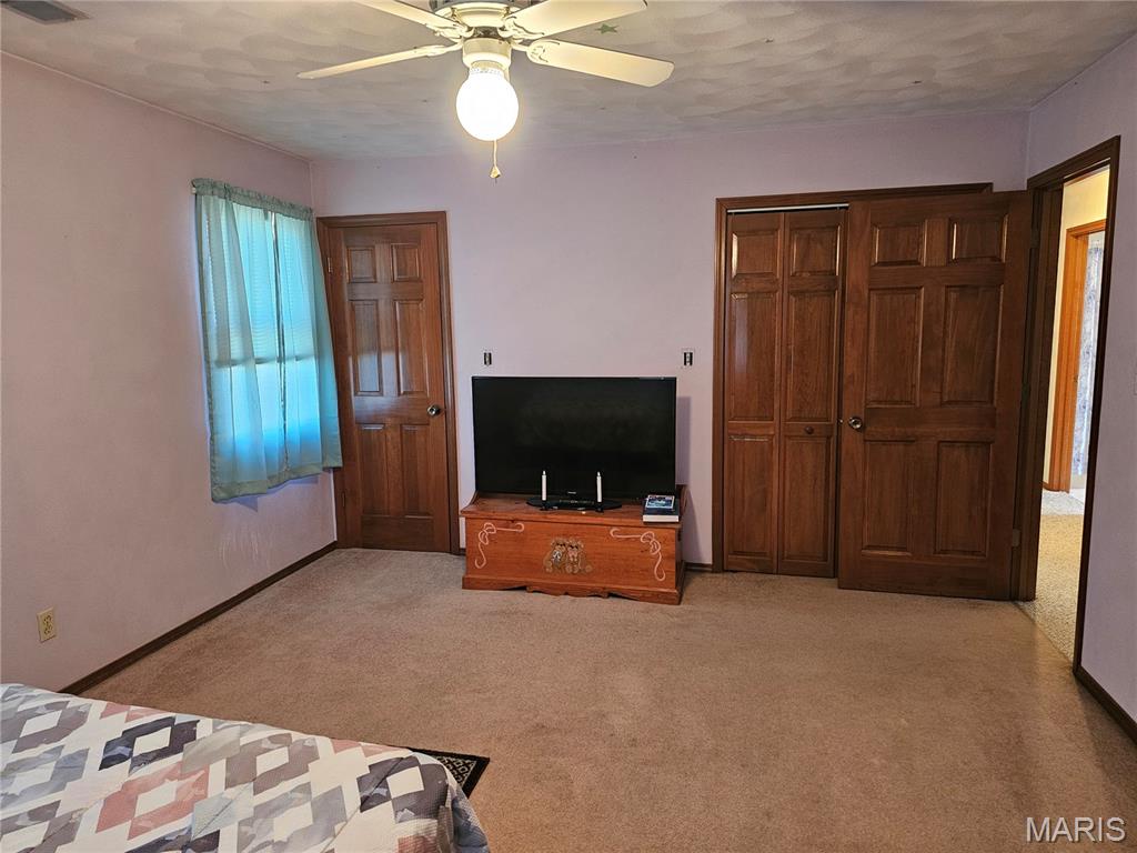 708 Walnut Street Steeleville, IL 62288 - Photo 26 of 35