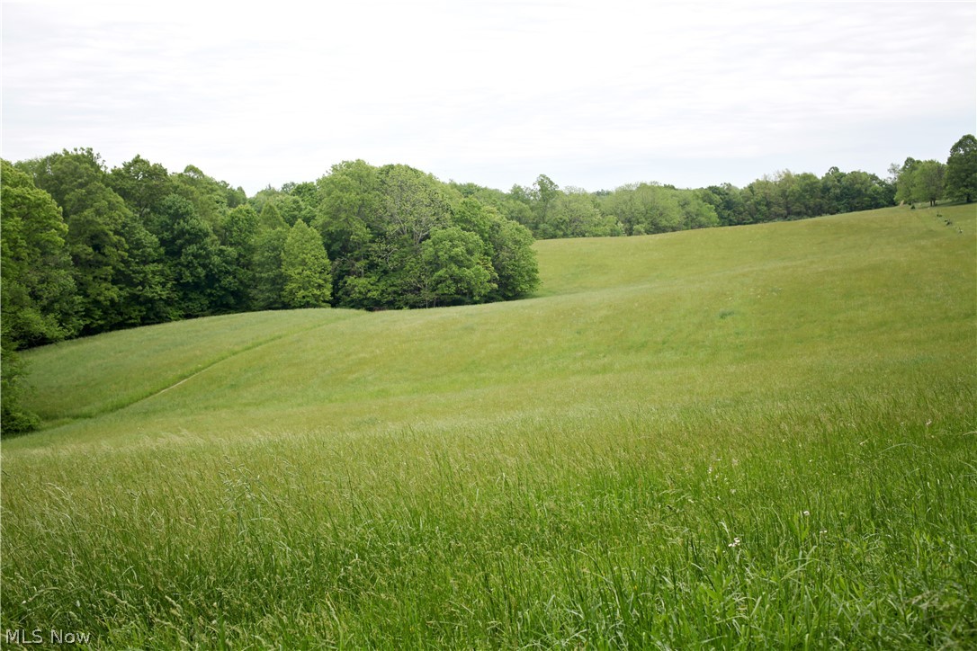 Sandy Ridge Road Southeast Tippecanoe, OH 44699 - Photo 23 of 27 Gallery Image 23