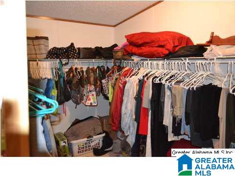 401 Old Settlement Road Oneonta, AL 35121 - Photo 11 of 28