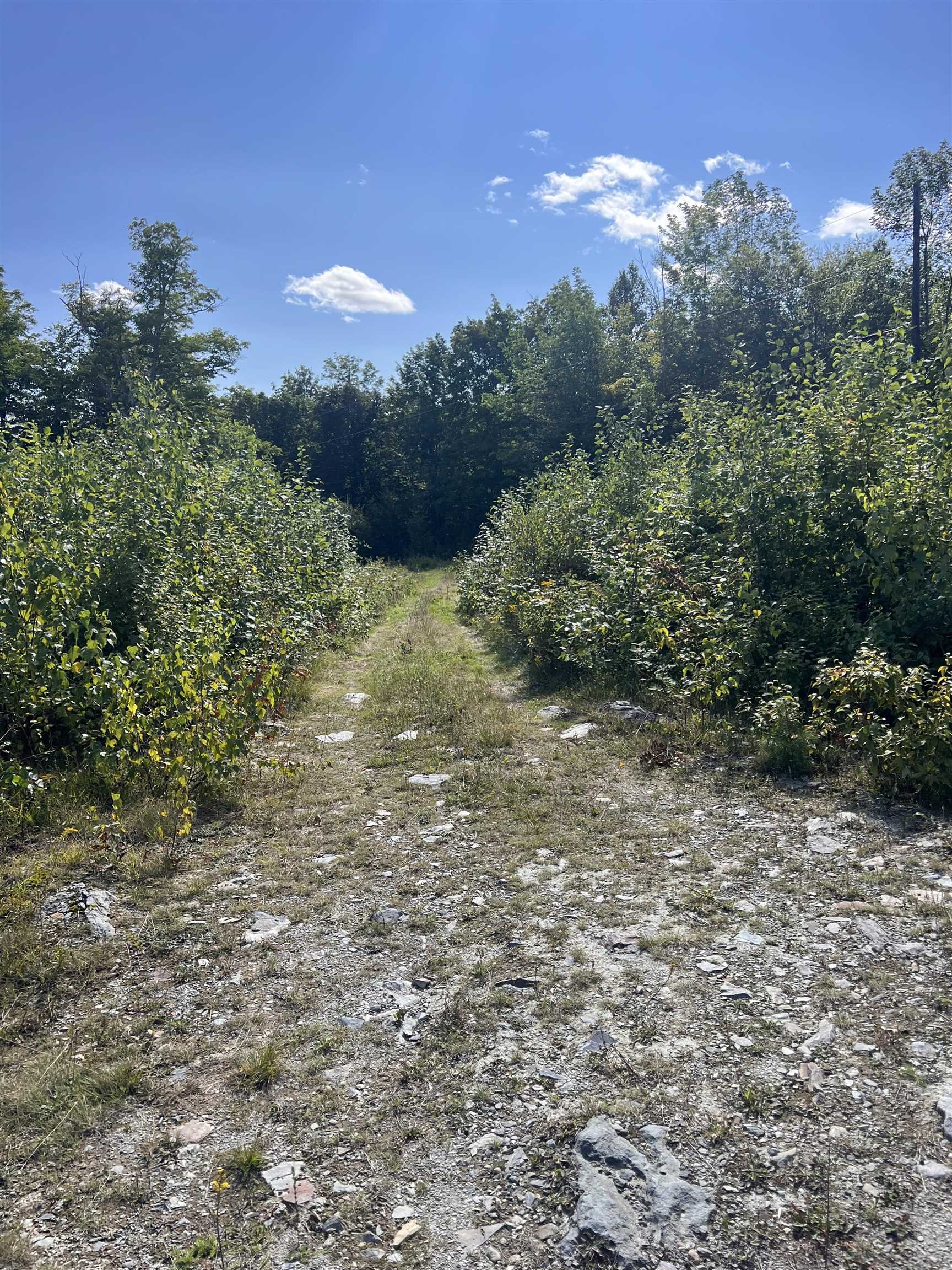 92.1 Kimball Road Lunenburg, VT 05906 - Photo 12 of 22