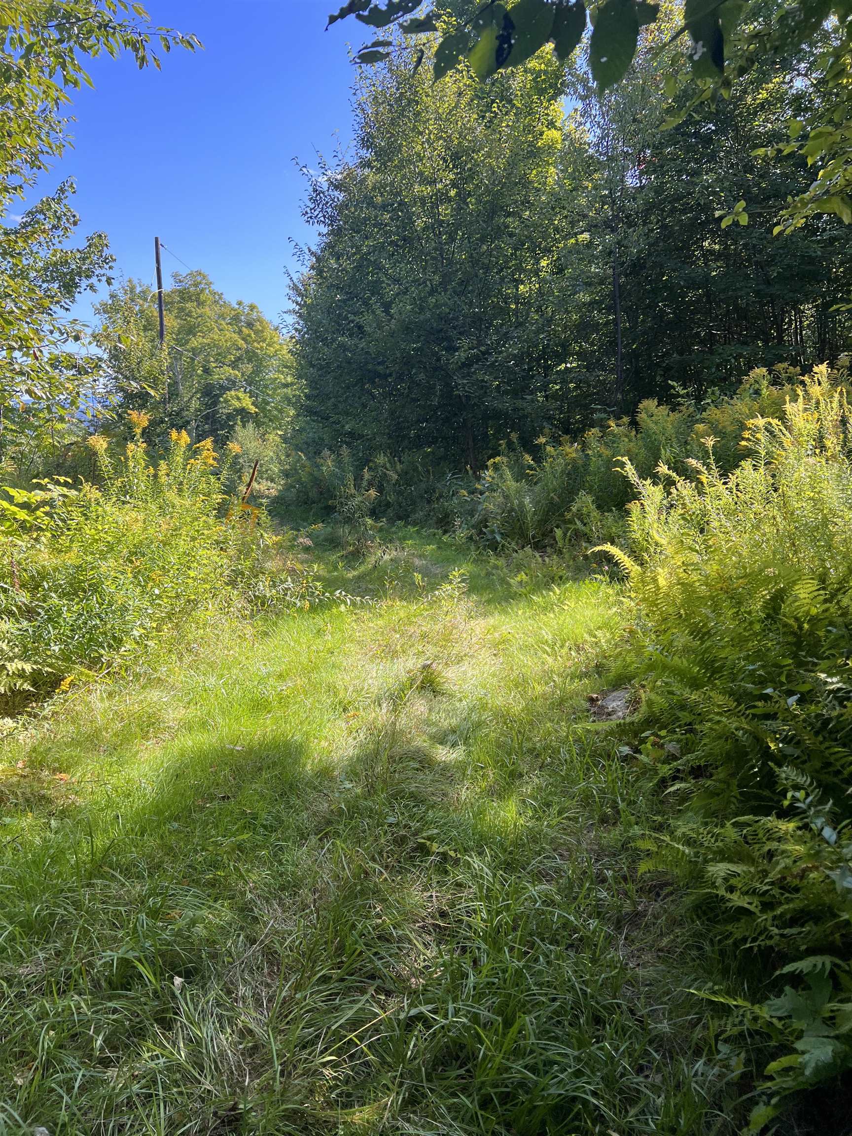 92.1 Kimball Road Lunenburg, VT 05906 - Photo 14 of 22