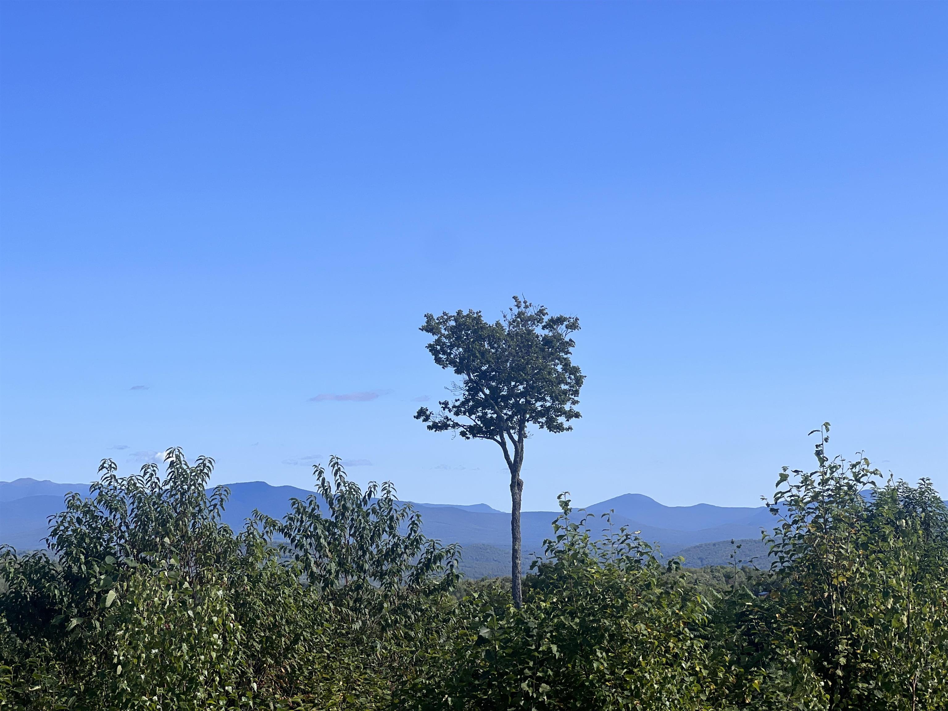 92.1 Kimball Road Lunenburg, VT 05906 - Photo 18 of 22