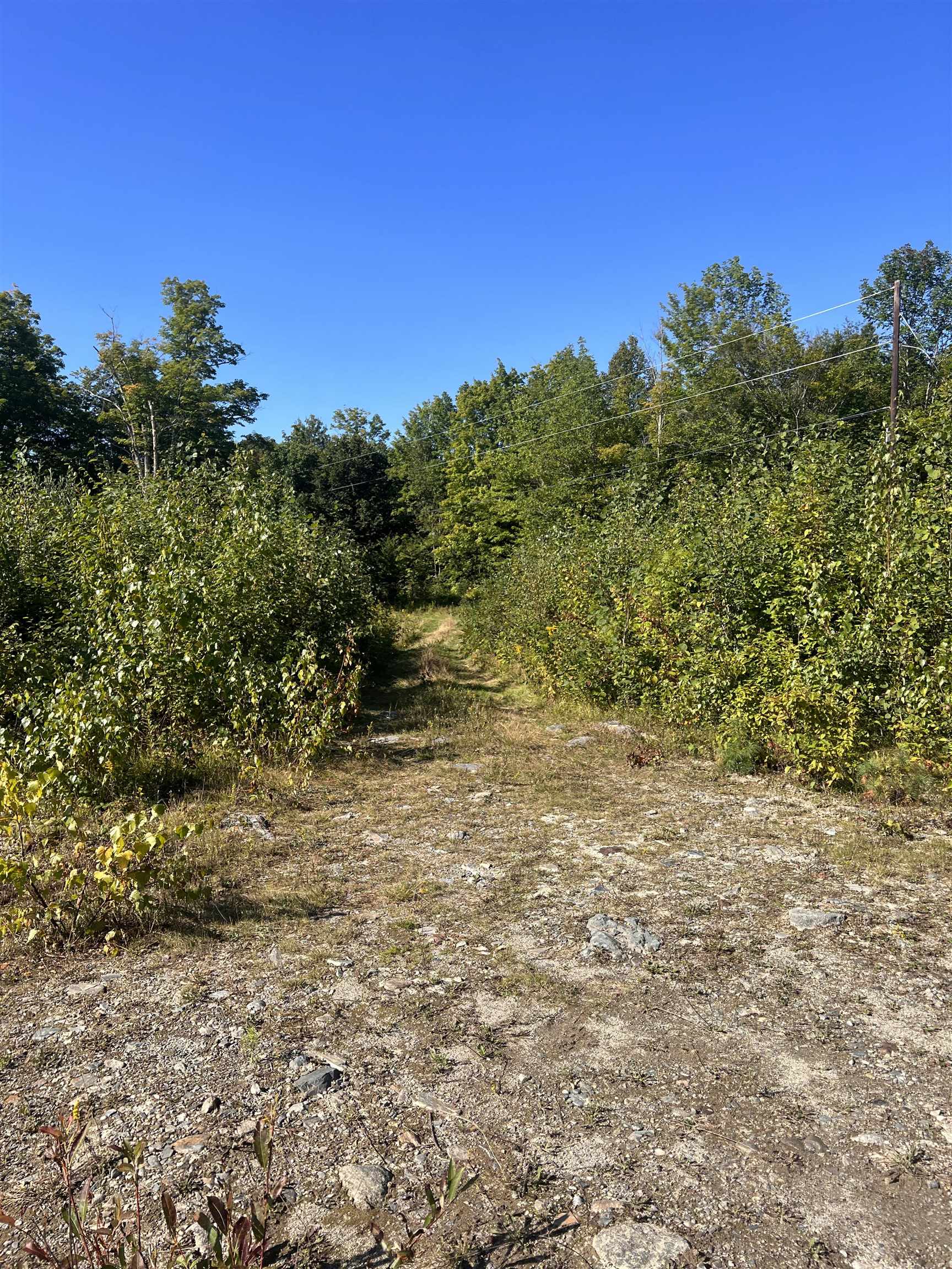 92.1 Kimball Road Lunenburg, VT 05906 - Photo 10 of 22