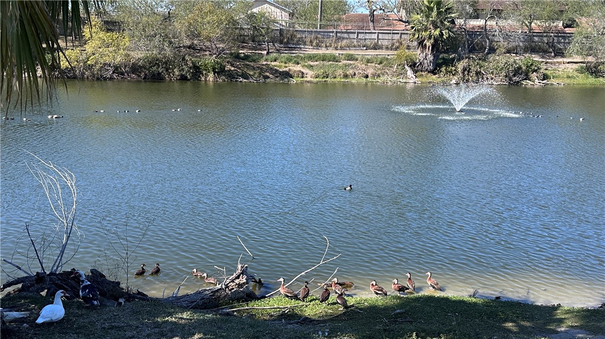 1932 Hidden Way Corpus Christi, TX 78412 - Photo 13 of 14 a view of a lake with a house
