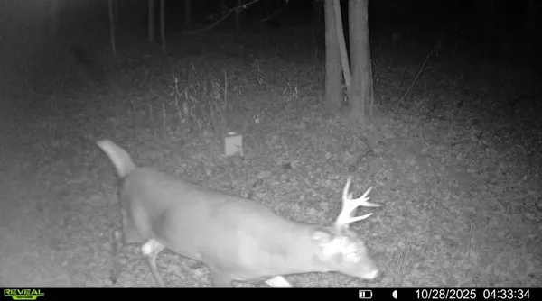 $150,000 | 6818 460th Street, Harris, MN 55032