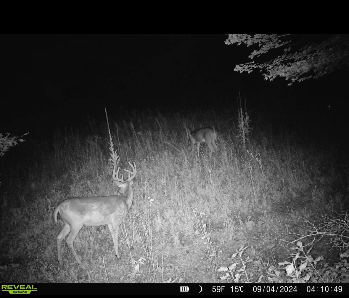 6818 460th Street Harris, MN 55032 - Photo 12 of 14