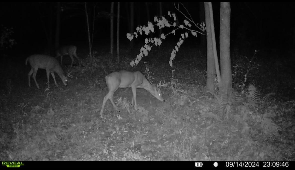 6818 460th Street Harris, MN 55032 - Photo 13 of 14