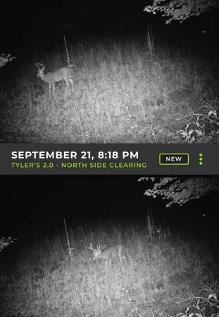 $150,000 | 6818 460th Street, Harris, MN 55032