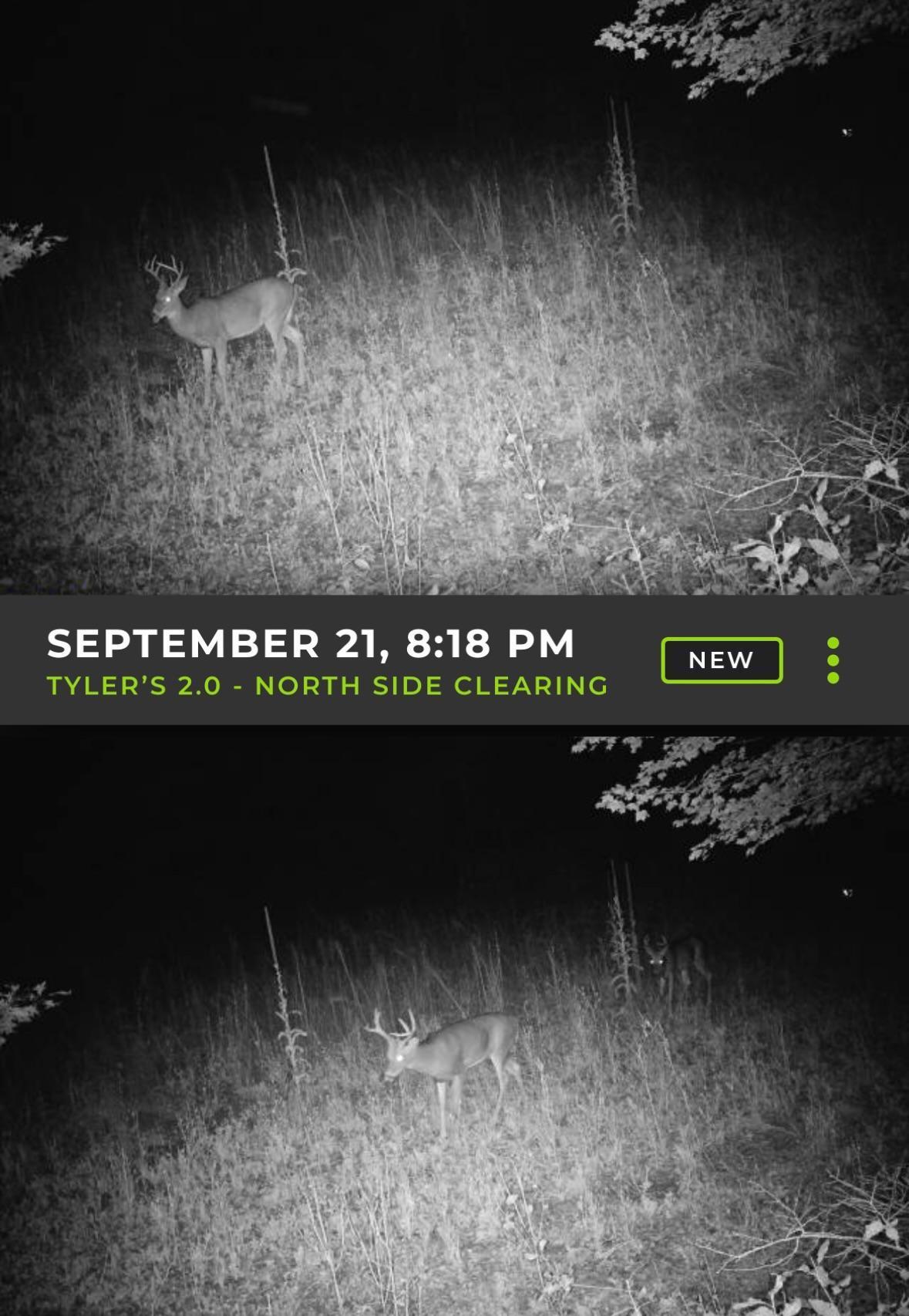 6818 460th Street Harris, MN 55032 - Photo 14 of 14