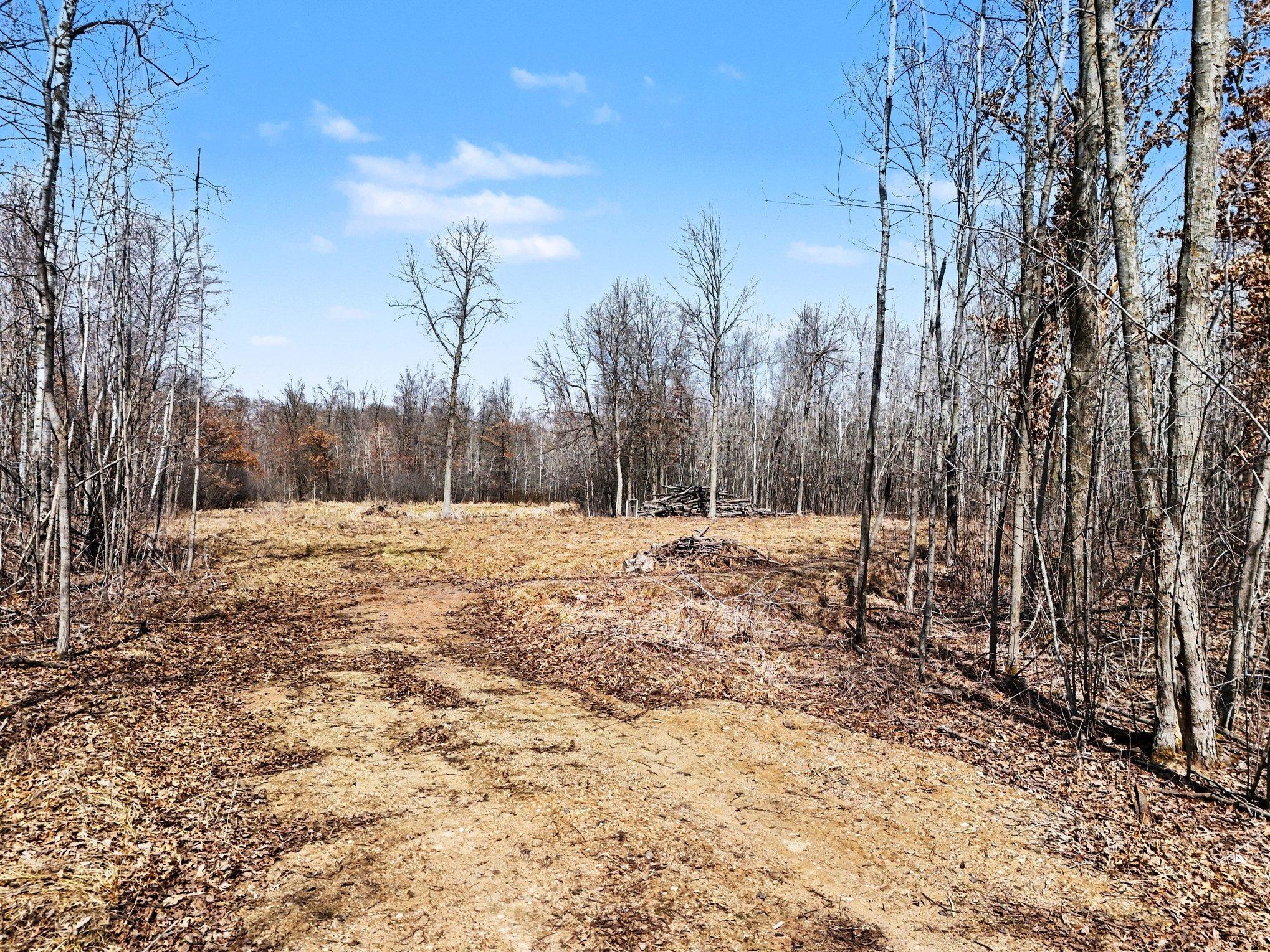 6818 460th Street Harris, MN 55032 - Photo 2 of 14