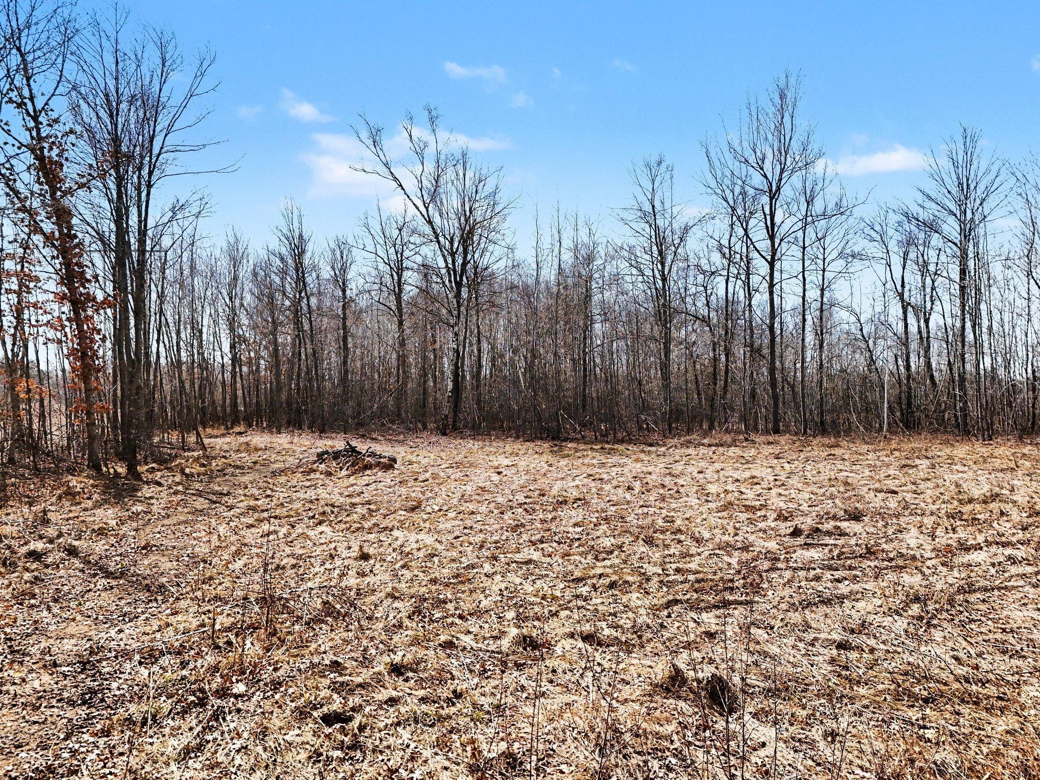 6818 460th Street Harris, MN 55032 - Photo 3 of 14