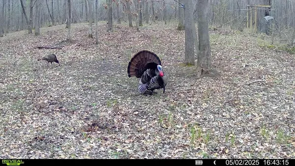 $150,000 | 6818 460th Street, Harris, MN 55032