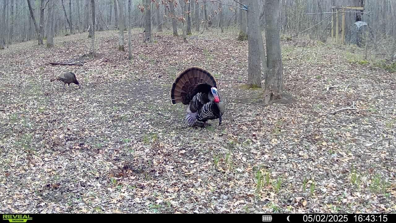 6818 460th Street Harris, MN 55032 - Photo 10 of 14