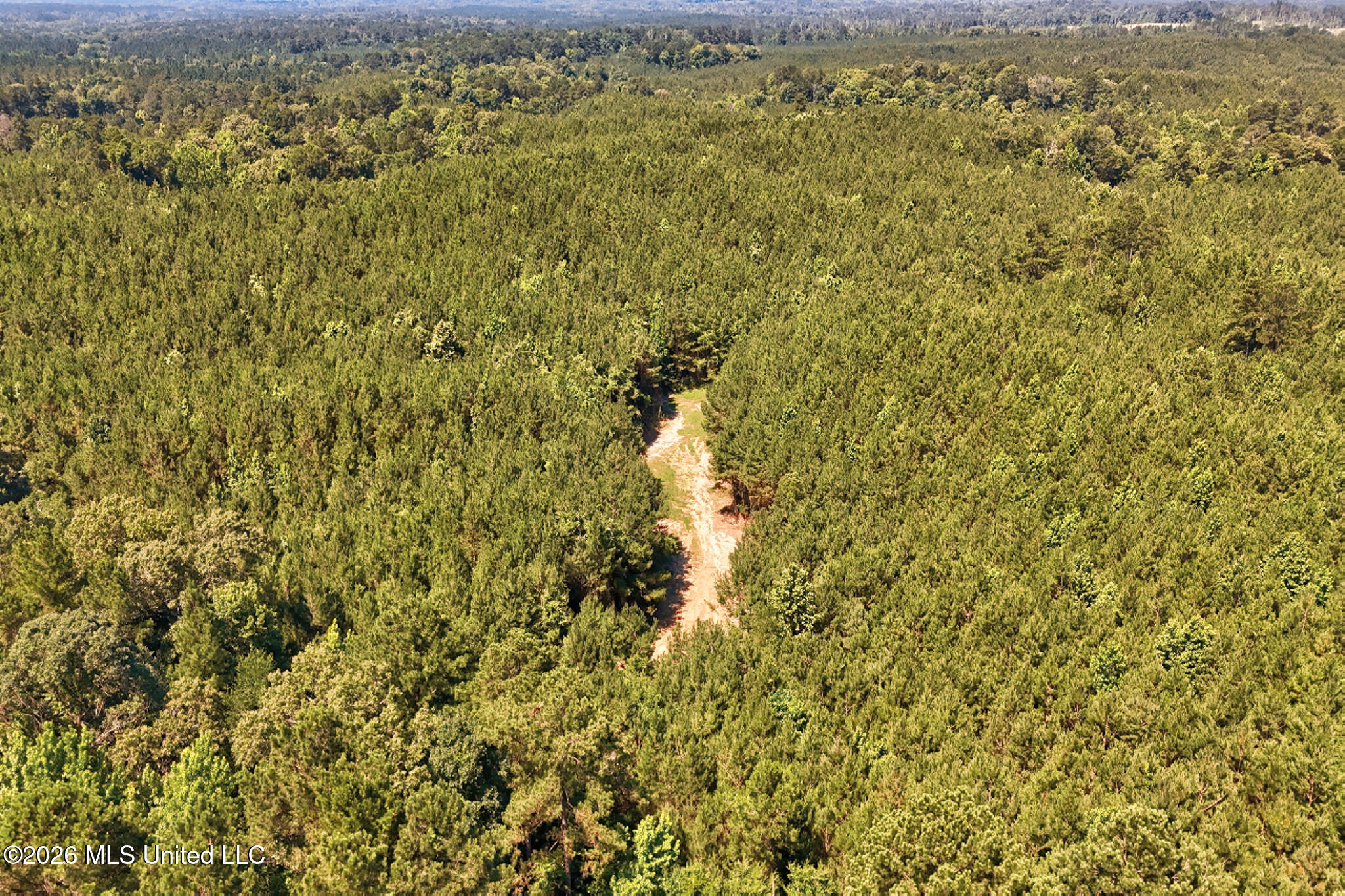 Northwest Ben Briggs Road Northwest Roxie, MS 39661 - Photo 3 of 17 DJI_20260610110333_0014_D_5_D_6_D-2