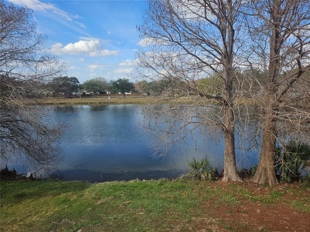 2321 Water View Loop Kissimmee, FL 34743 - Photo 40 of 41 a view of a yard