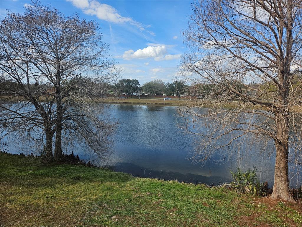 2321 Water View Loop Kissimmee, FL 34743 - Photo 41 of 41 a backyard of a house with lots of green space