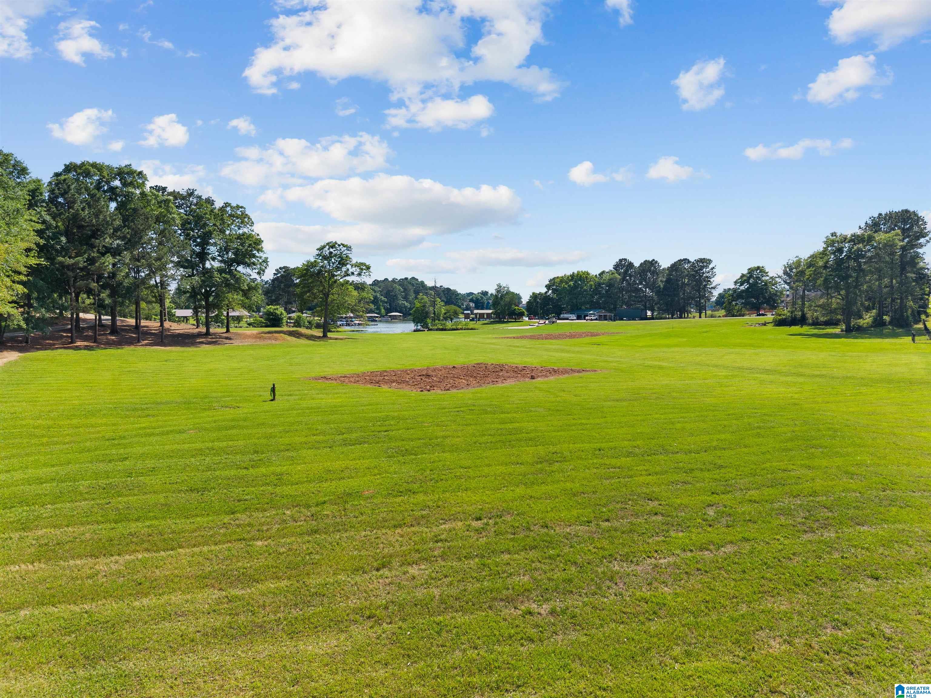4412 Masters Road Pell City, AL 35128 - Photo 40 of 40