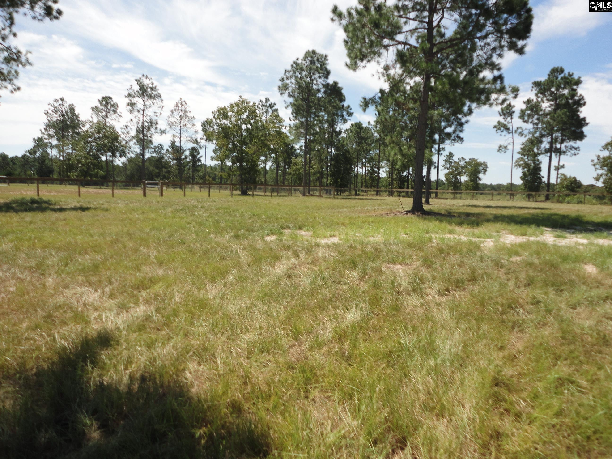434 Hound Hollow Road Camden, SC 29020 - Photo 22 of 32