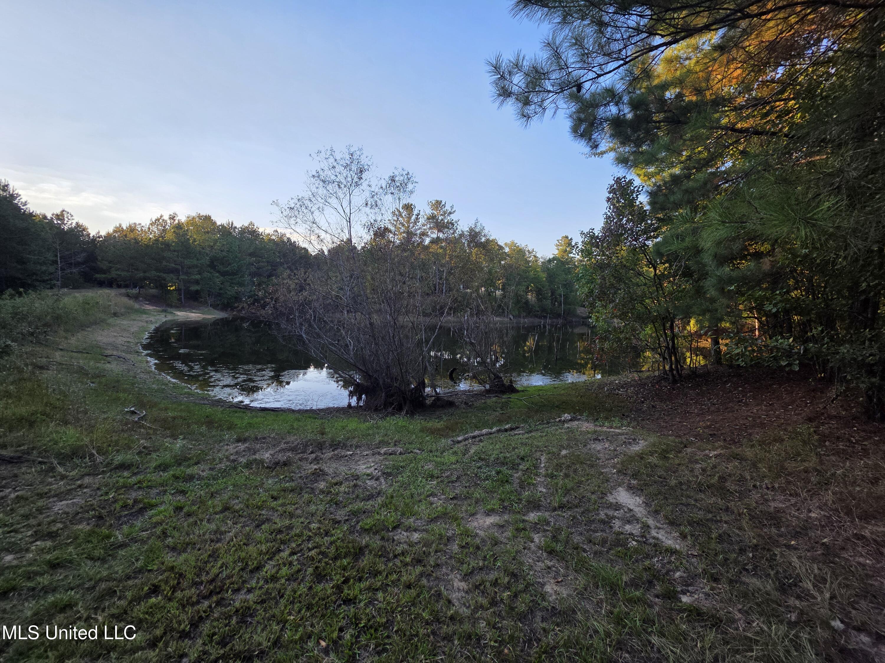 1067 Williams Road Wesson, MS 39191 - Photo 12 of 31 18520