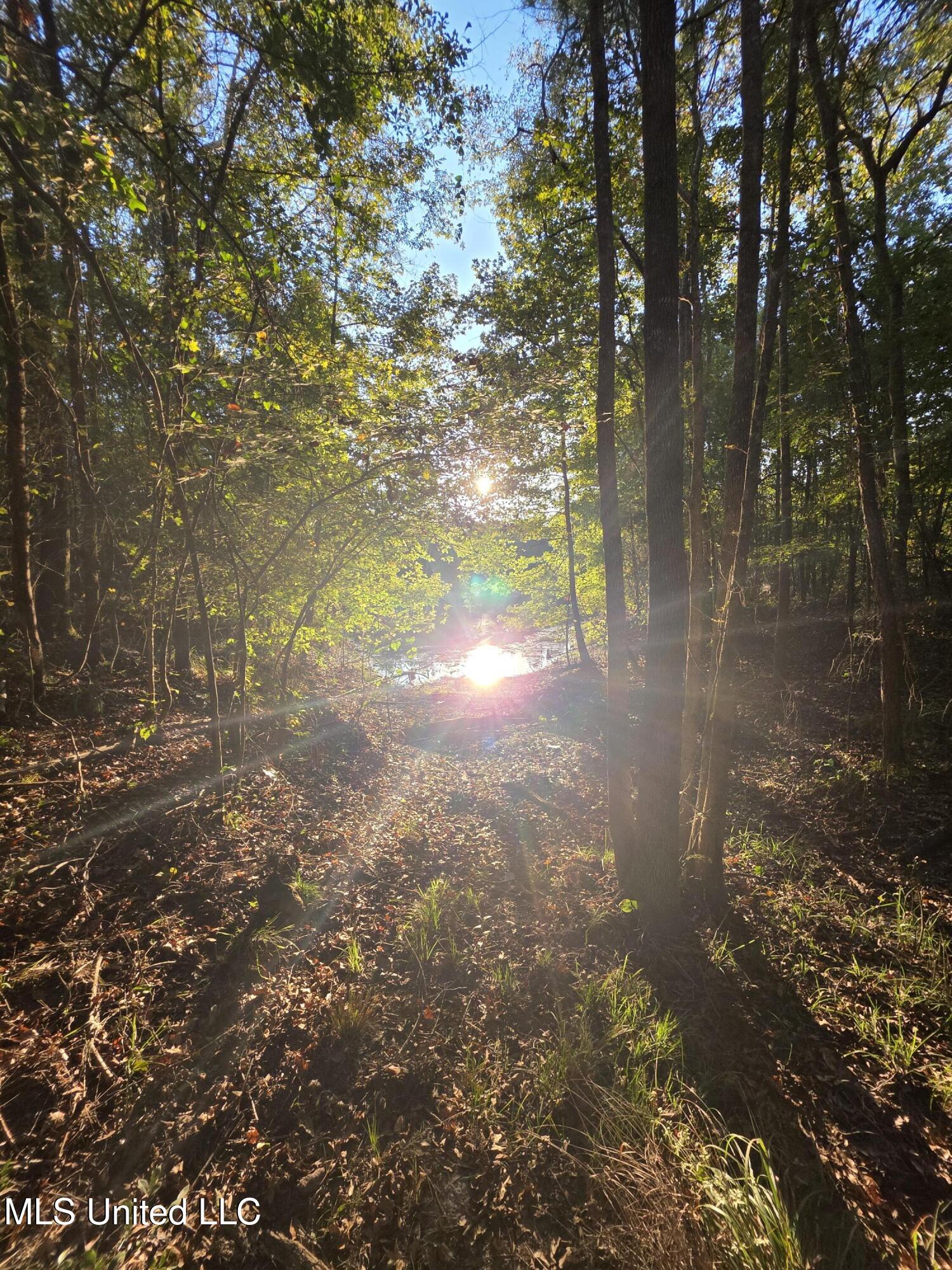 1067 Williams Road Wesson, MS 39191 - Photo 13 of 31 18517